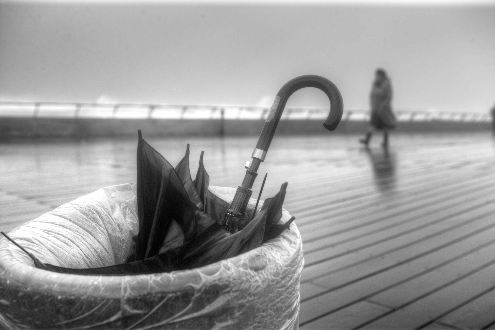 מטריה בפח אשפה