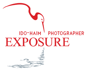 ido haim photograph exposure